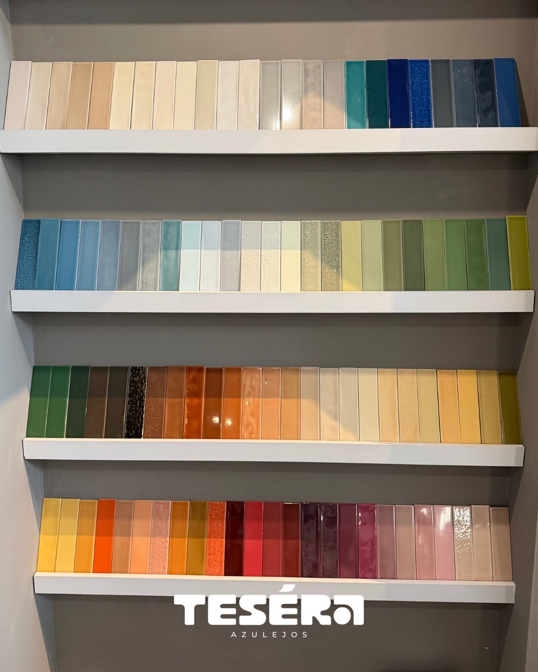 Showroom Teséra Azulejos